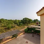 Susino אולביה